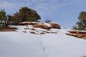 Canyonlands26012010 (131)